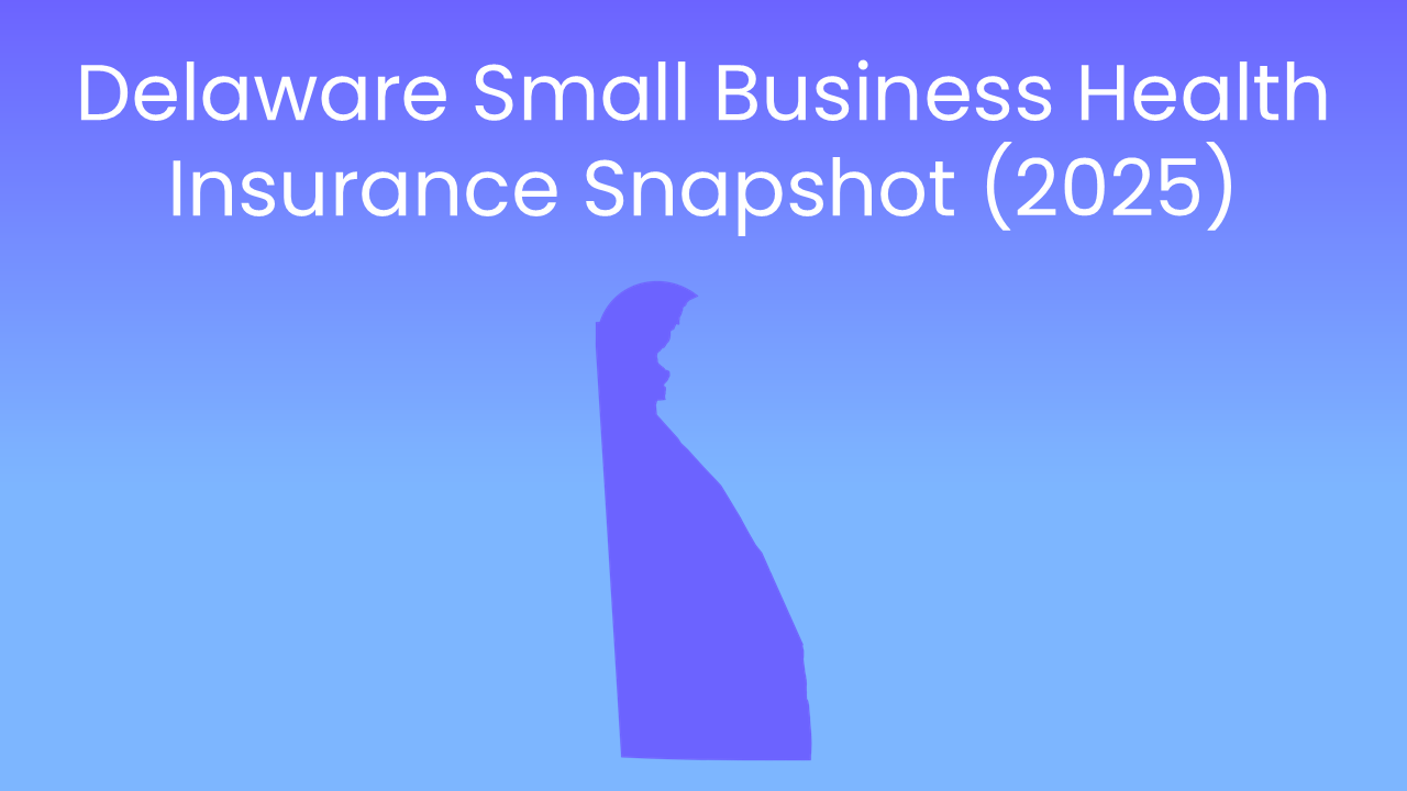 Delaware Health Insurance Snapshot (2025)