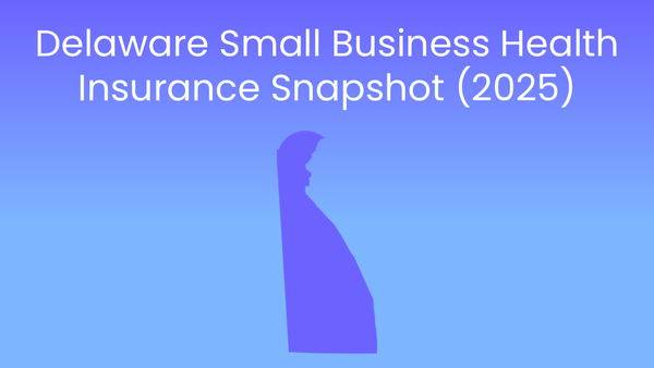 Delaware Health Insurance Snapshot (2025)
